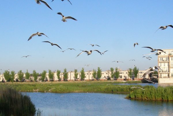 brandbeveiliging Limor ondersteuning en rehabilitatie